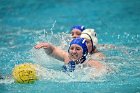 WWPolo vs CC  Wheaton College Women’s Water Polo compete in their sports inaugural match vs Connecticut College. - Photo By: KEITH NORDSTROM : Wheaton, water polo, inaugural